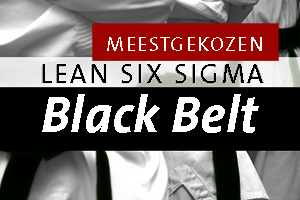 lean-six-sigma-black-belt