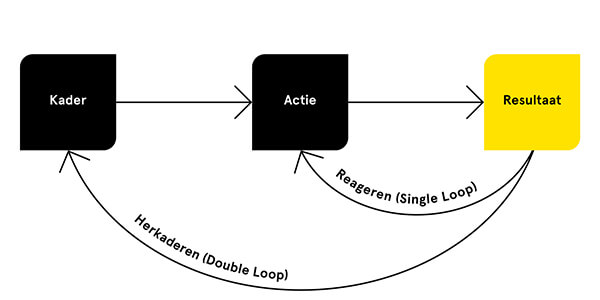 Single & Double Loop Learning