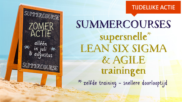 summercourses lean en lean six sigma