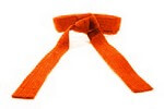 Orange Belt