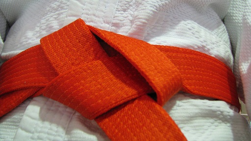 Best Of orange belt six sigma Lean sigma datum